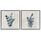 Stupell Industries Blue Summer Leaves 2 pc Framed Giclee Wall Art Set Design by Lucille Price
